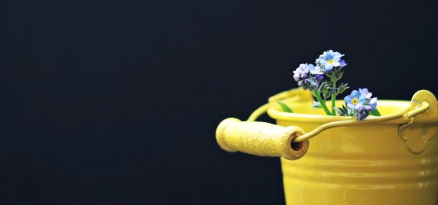 A Bucket Strategy To Go With Your Bucket List
